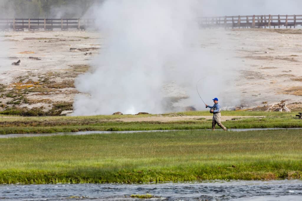Fly Fishing In Yellowstone National Park
