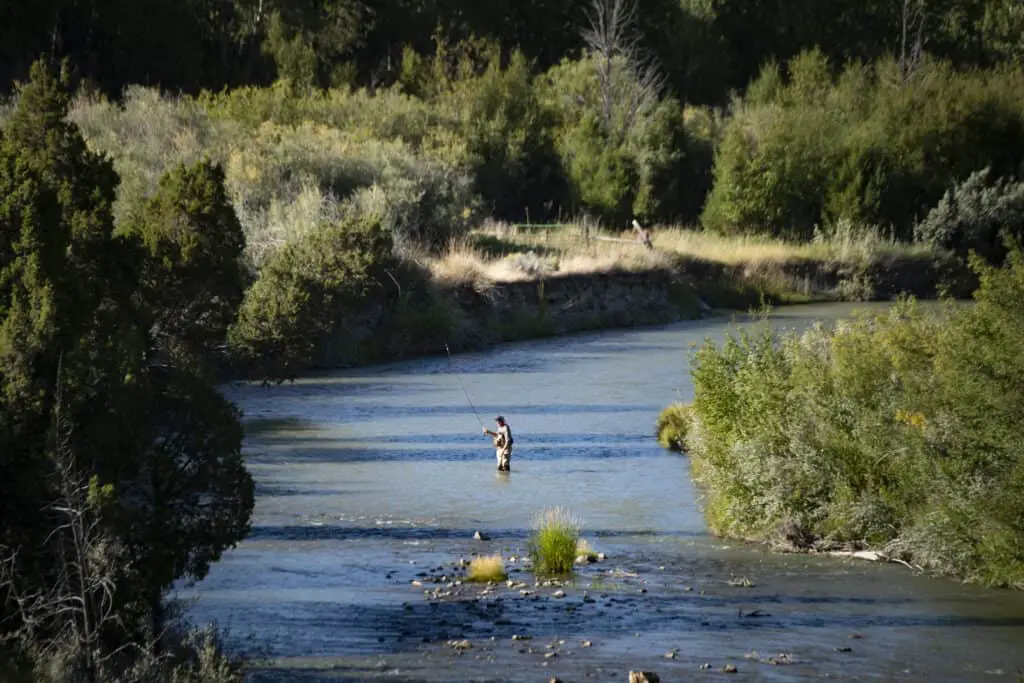 River Fly Fishing in Montana