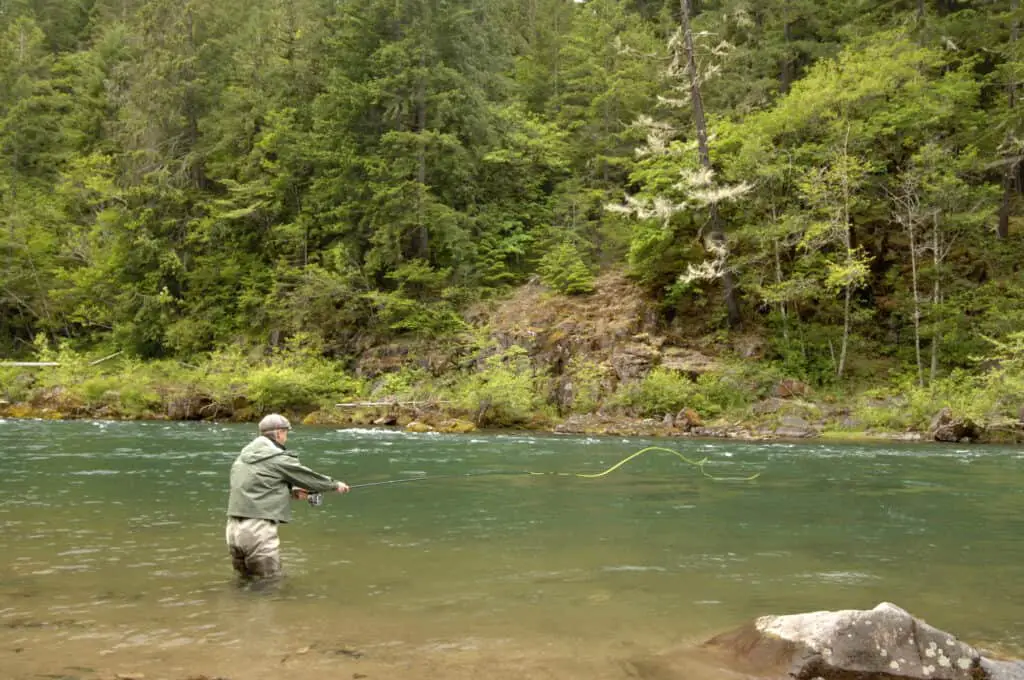 when-is-fly-fishing-best-rod-and-net