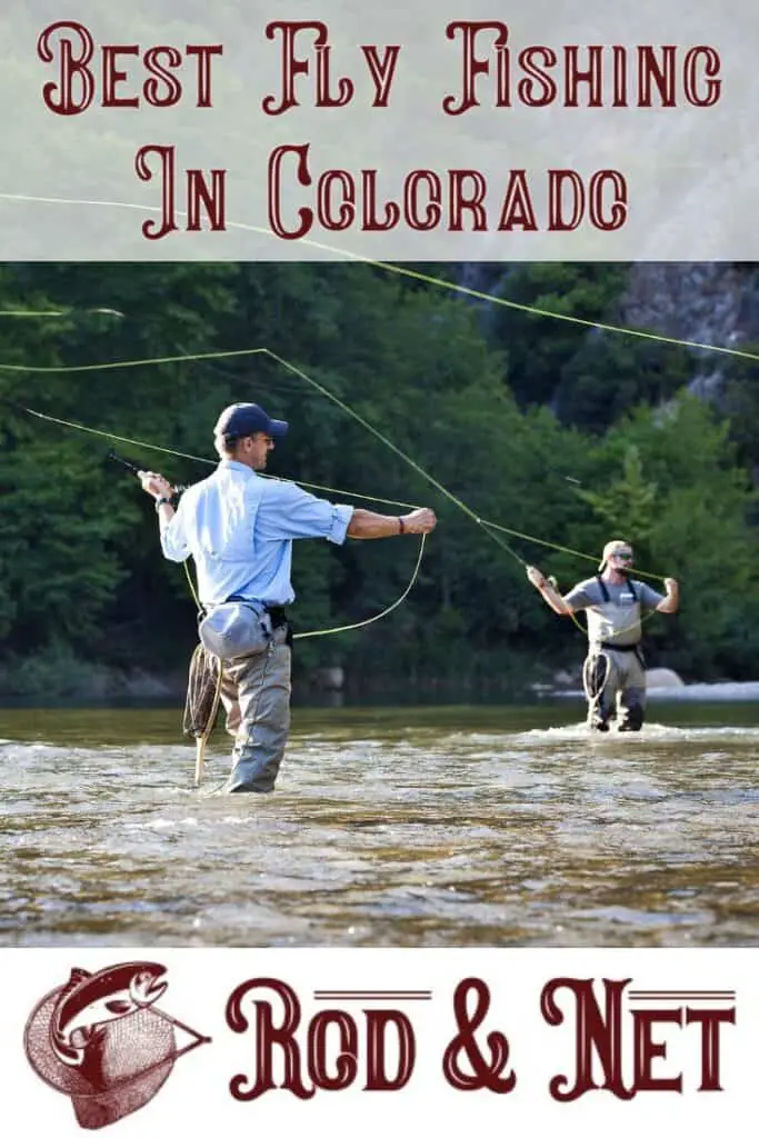 Where Is The Best Fly Fishing In Colorado? Your Colorado Fly Fishing