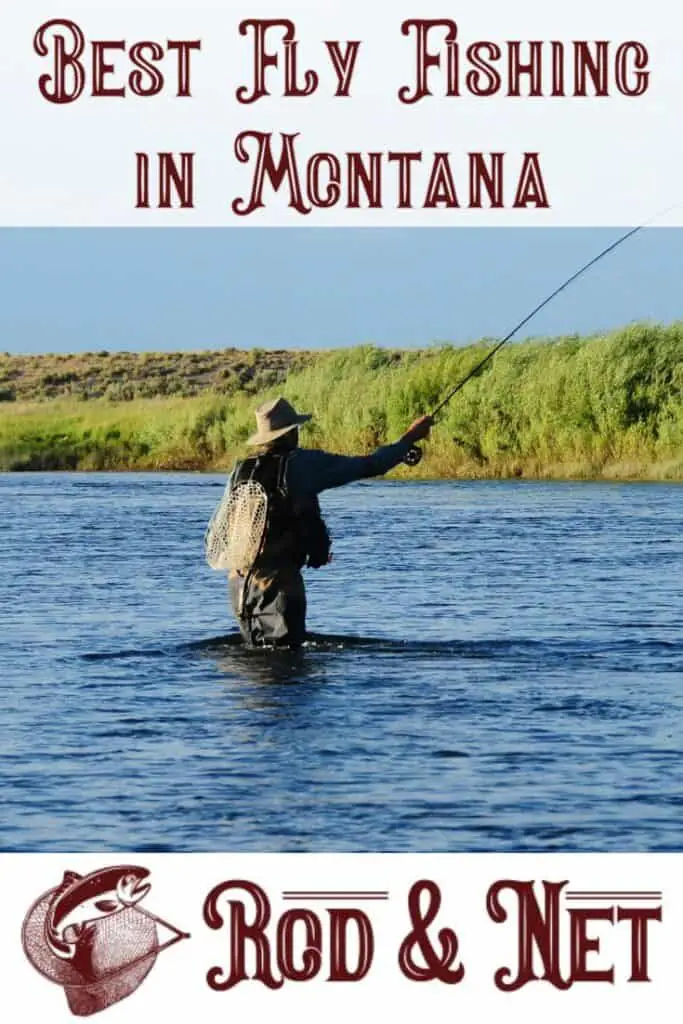 What Is The Best Trout Fishing In Montana? Fly Fishing At Its Best 