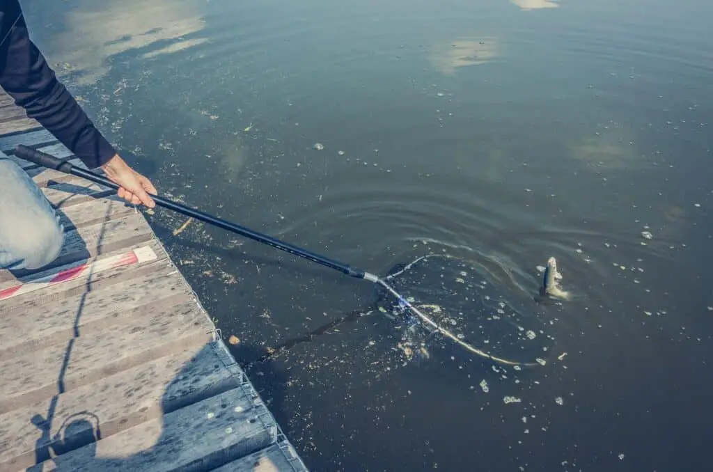 Dock fishing in Ohio