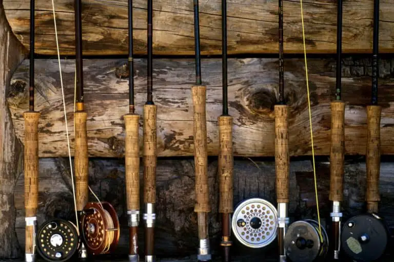 Best Fly Fishing Gear for Beginners Rod And Net