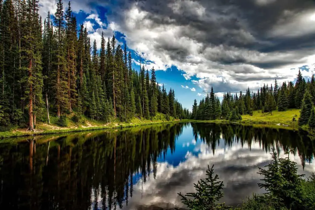 Fly Fishing Colorado
