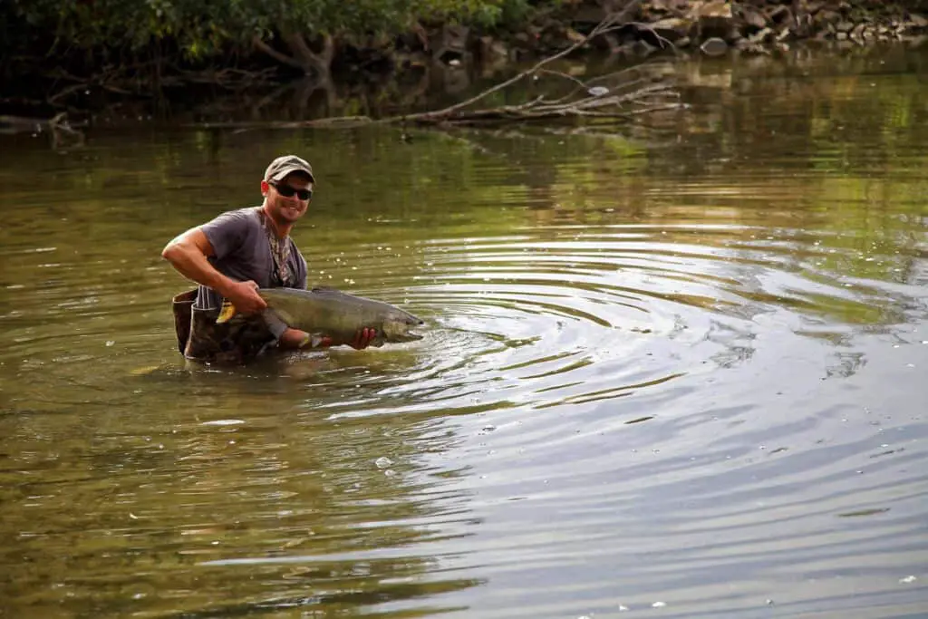 Fly Fishing In Colorado
