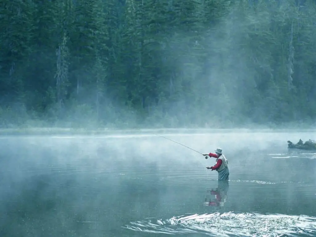 Fly Fishing Nymphs