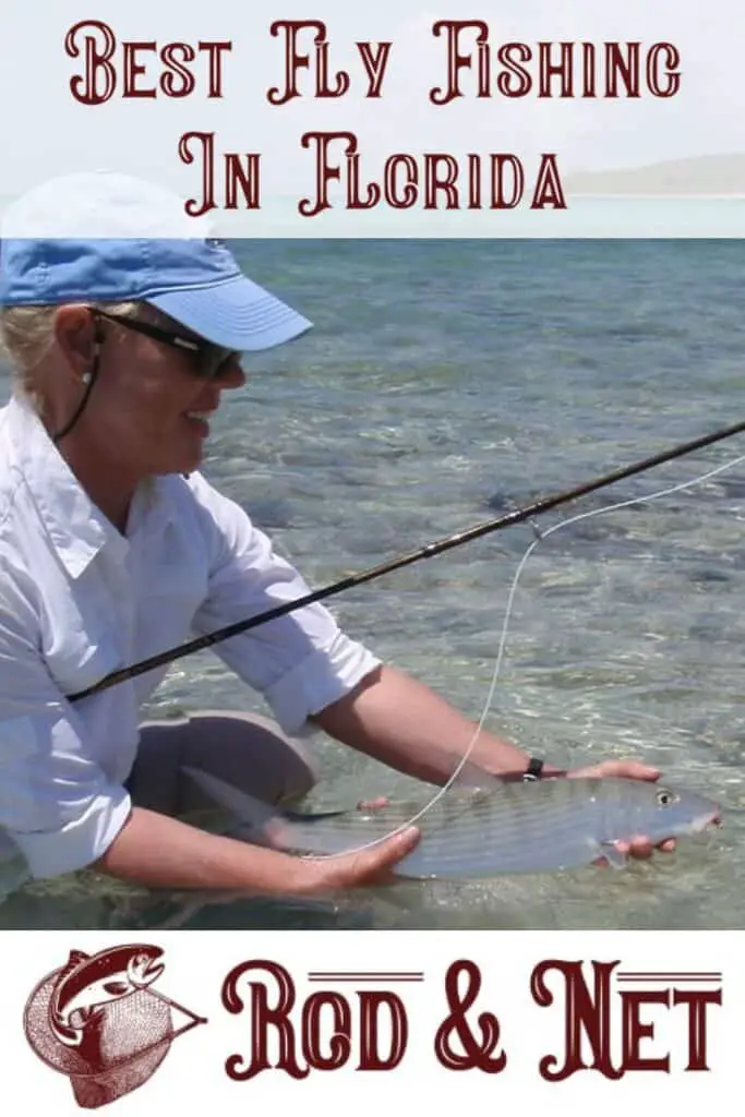 Where Is The Best Fly Fishing In Florida? There Are So Many
