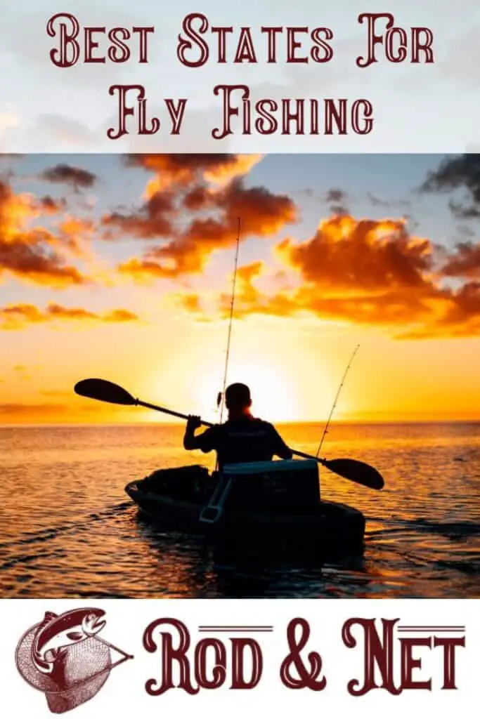 What Are The Best States For Fly Fishing? There Is So Much To Pick From