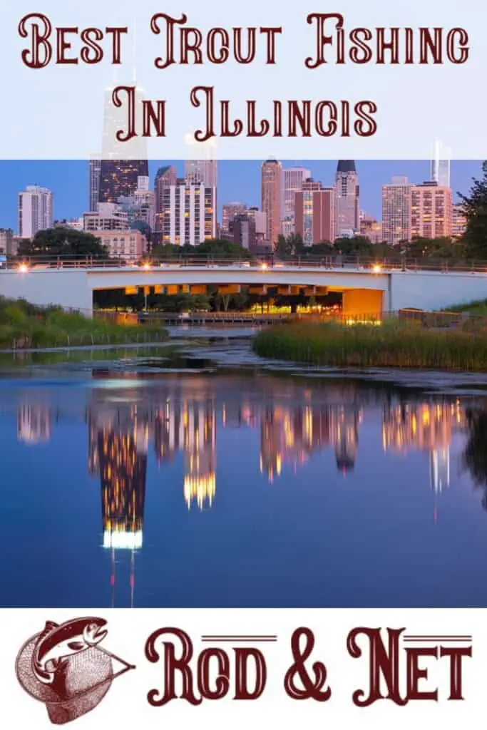 Where Is The Best Trout Fishing In Illinois? What You Need To Know