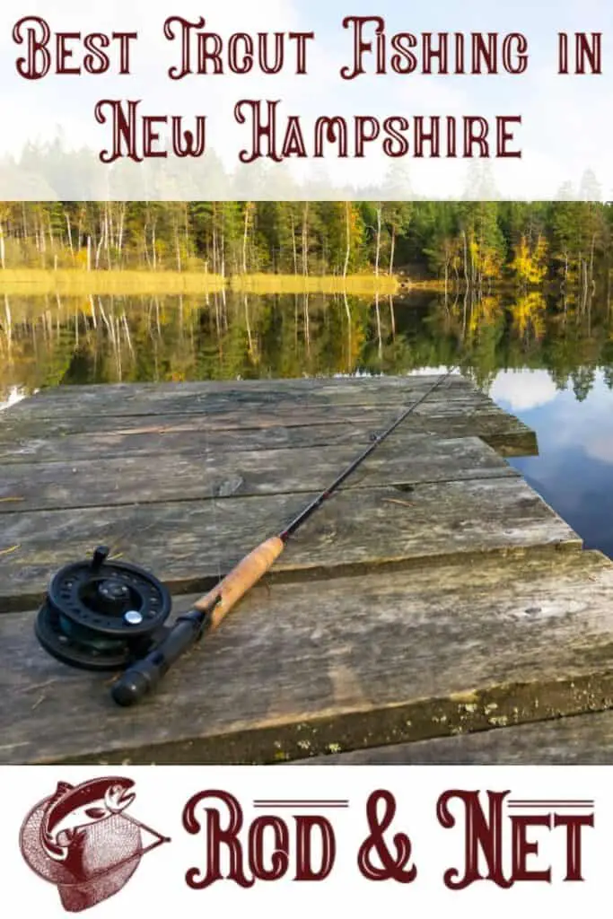 Where Is The Best Trout Fishing in New Hampshire? Your Questions
