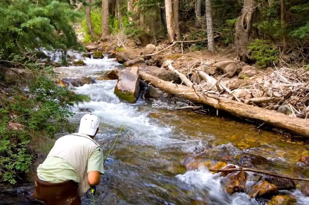 Best Trout Fishing In Washington