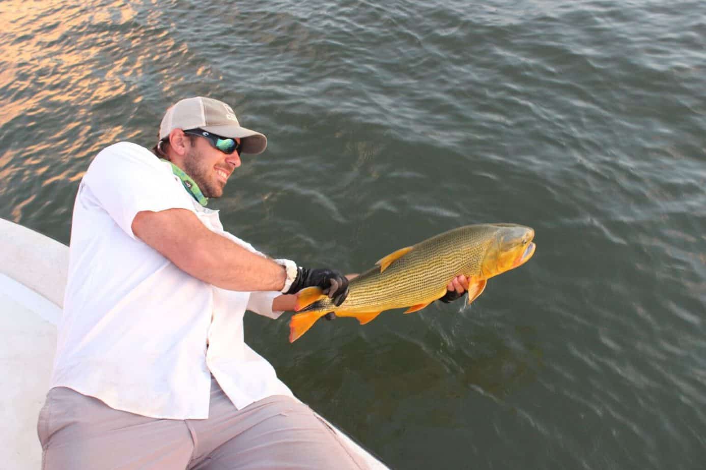Want To Go Fly Fishing for Golden Dorado? What You Need To Know! Rod