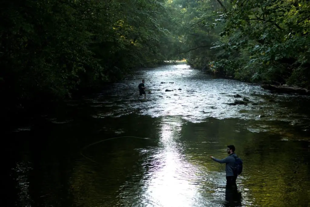 Beginners Fly Fishing Destinations In New York