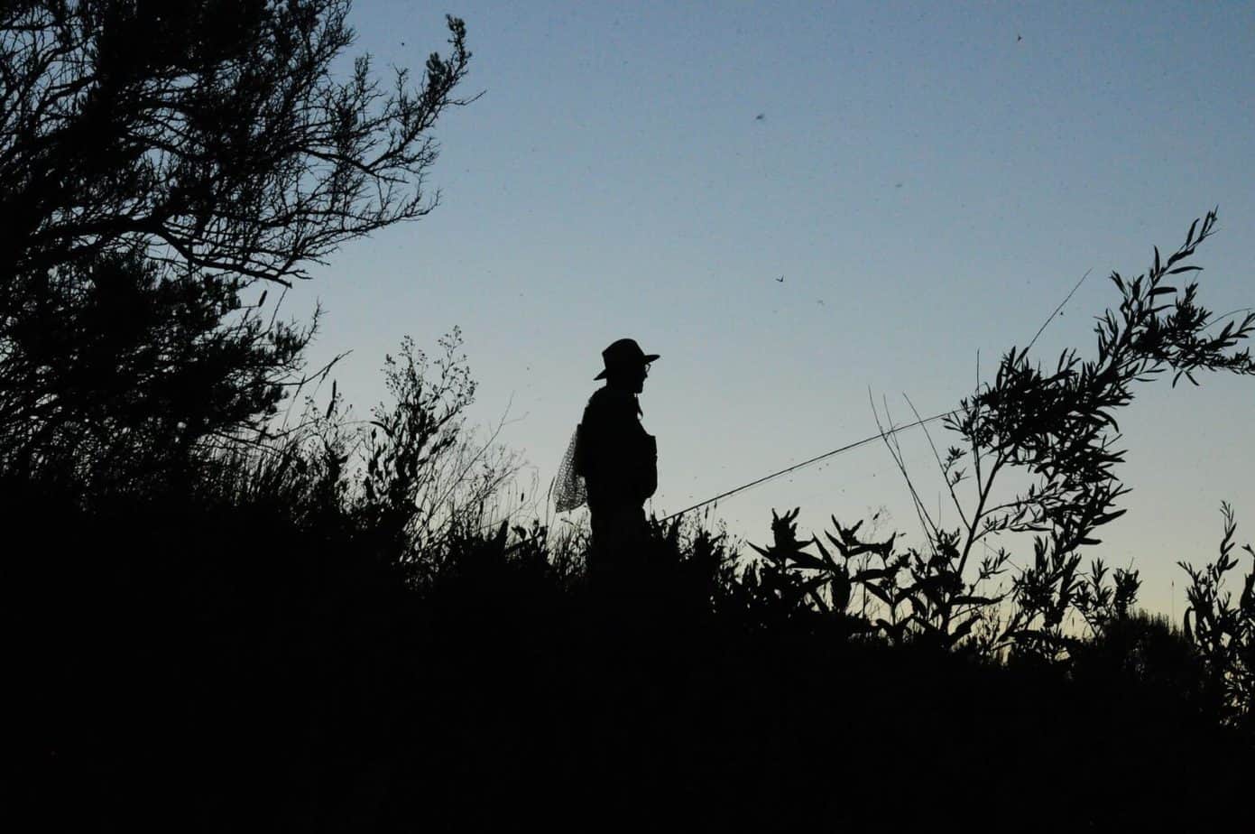Why Is Fly Fishing So Addictive? Rod And Net