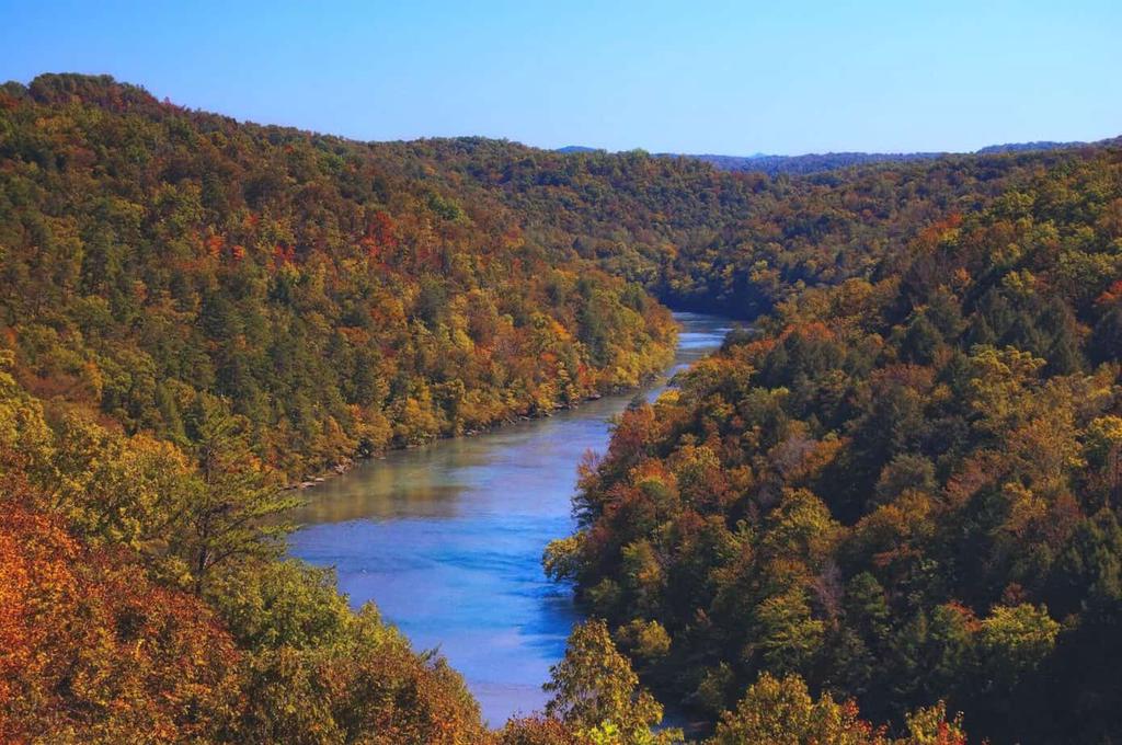 Best Trout Fishing In Kentucky