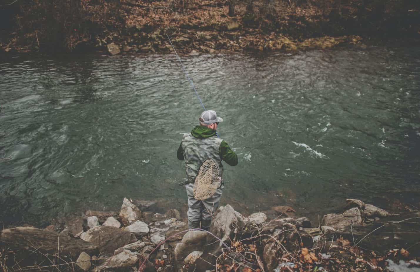 Where Is The Best Trout Fishing In Kentucky? Rod And Net