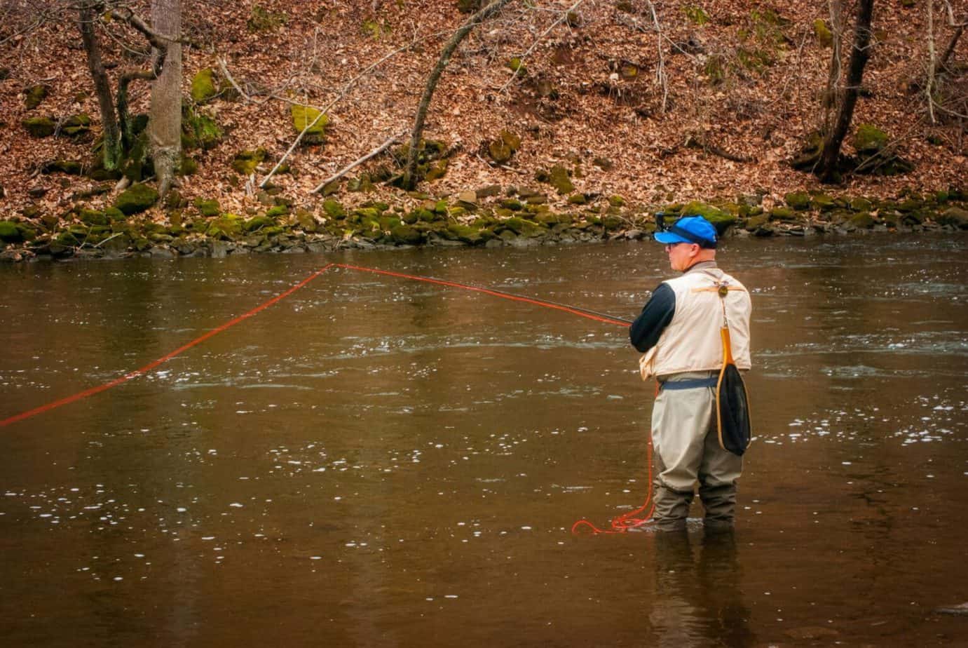 Where Is The Best Trout Fishing In Kentucky? Rod And Net
