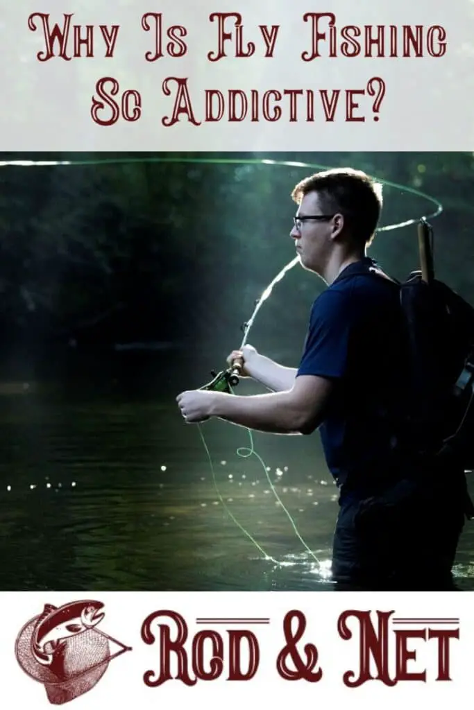 Why Is Fly Fishing So Addictive? Rod And Net