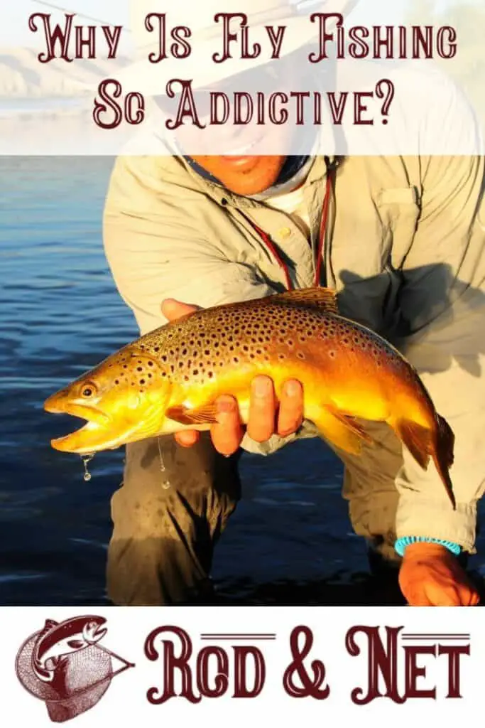Why Is Fly Fishing So Addictive? Rod And Net