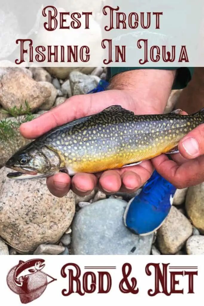 Where Is The Best Trout Fishing In Iowa? Rod And Net