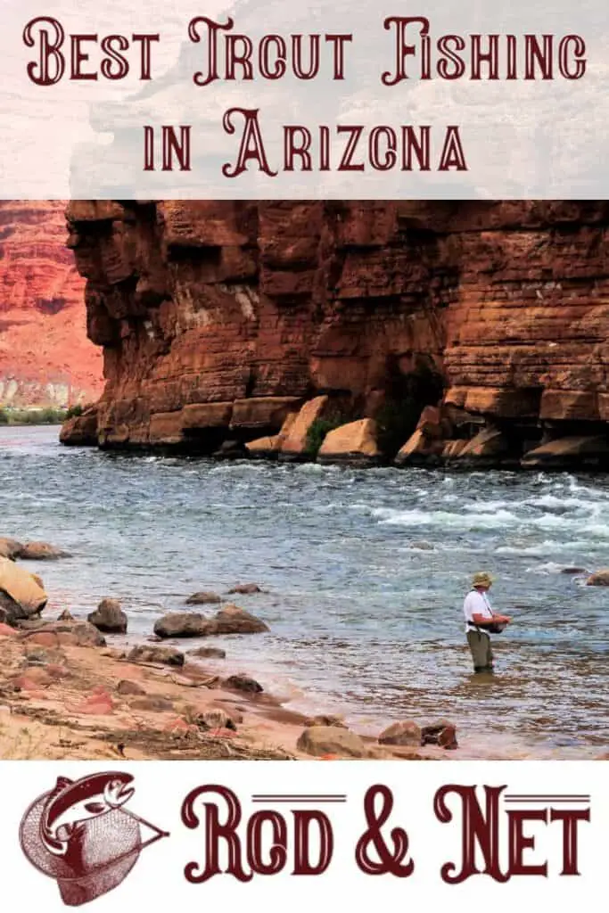 Where Is the Best Trout Fishing In Arizona? Rod And Net