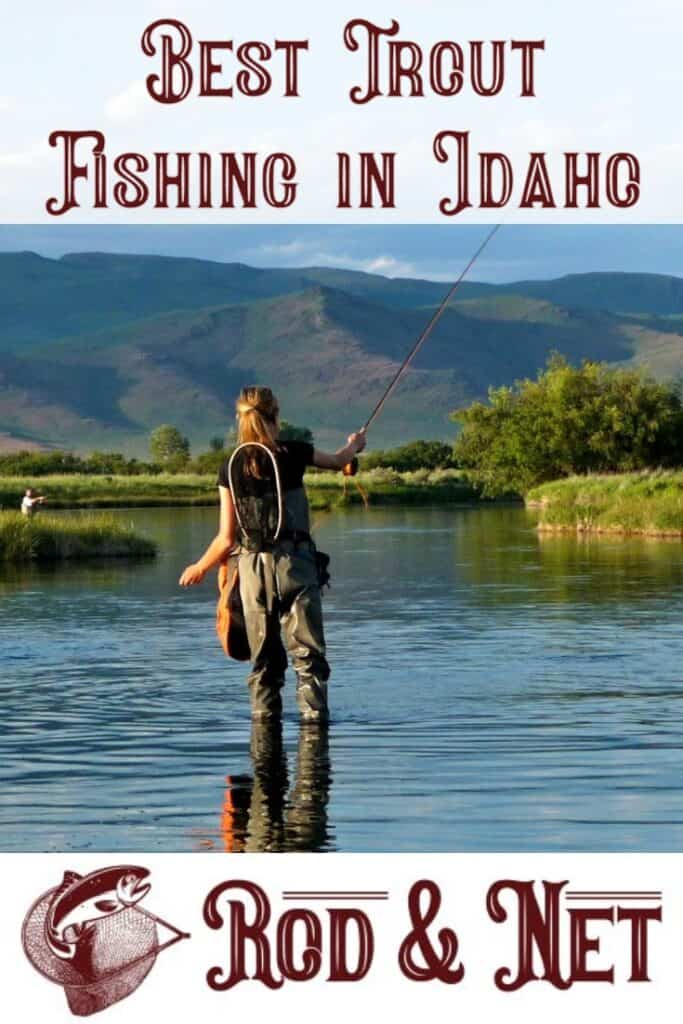 Where Is The Best Trout Fishing In Idaho Rod And Net where-is-the-best-trout-fishing-in-idaho-rod-and-net
