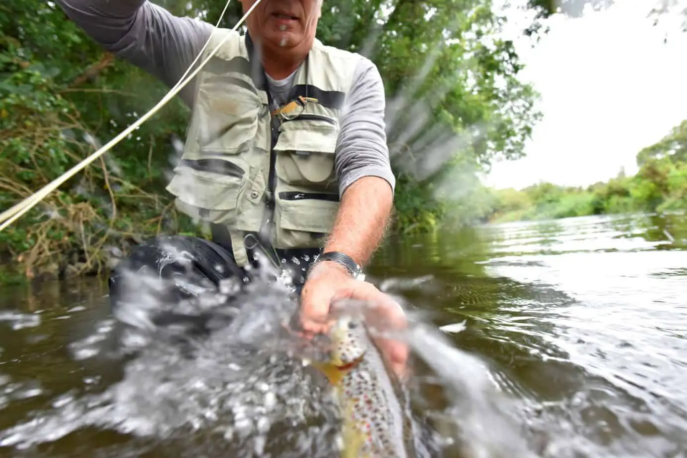 Best Trout Fishing In South Carolina