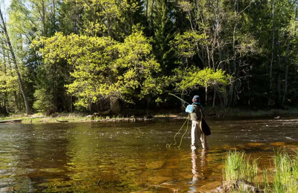 Best Trout Fishing in Idaho