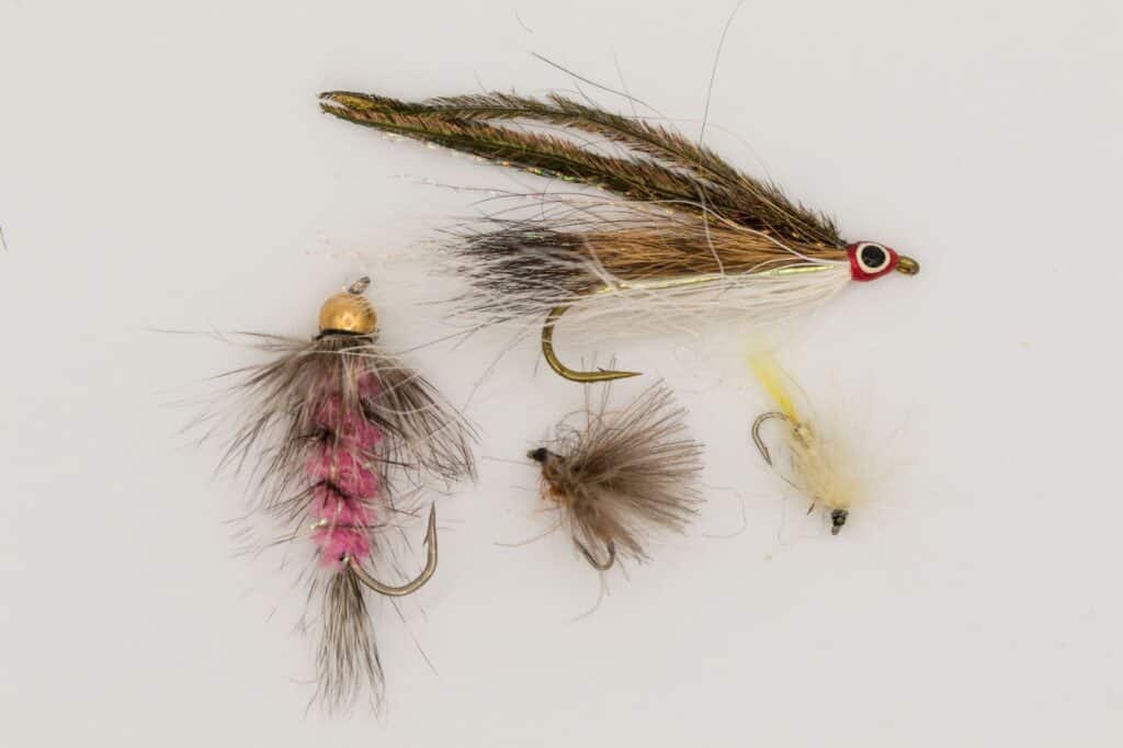 9 Best Mayfly Patterns for 2021 Rod And Net