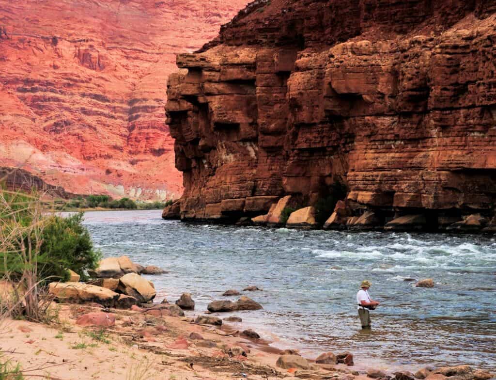 Where Is the Best Trout Fishing In Arizona? Rod And Net