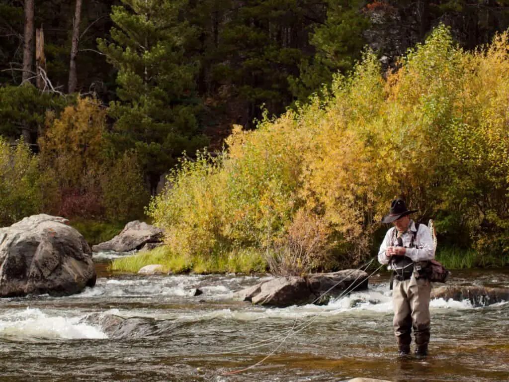 Where Is The Best Trout Fishing In Maine? – Rod And Net