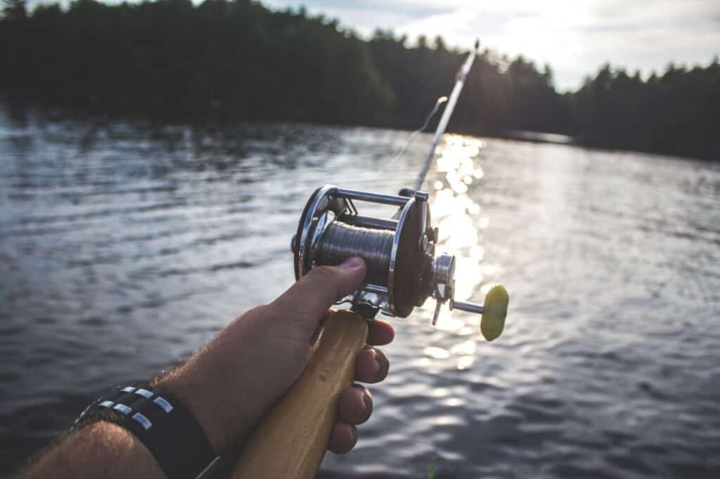 Are Muskies Good To Eat?