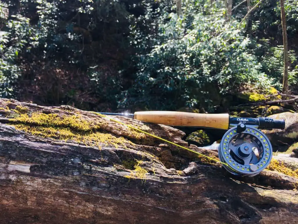 Are Expensive Fly Rods Worth The Money? 