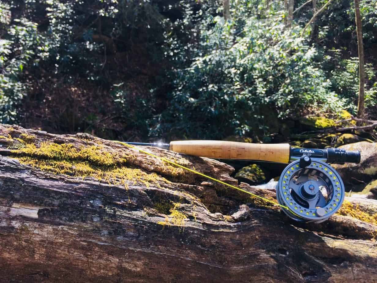 Are Expensive Fly Rods Worth The Money? Rod And Net
