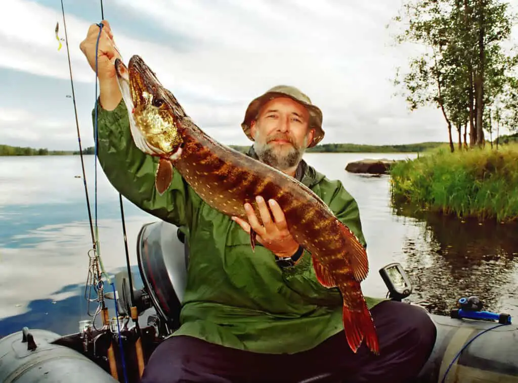 Are Pike Good To Eat? – Rod And Net