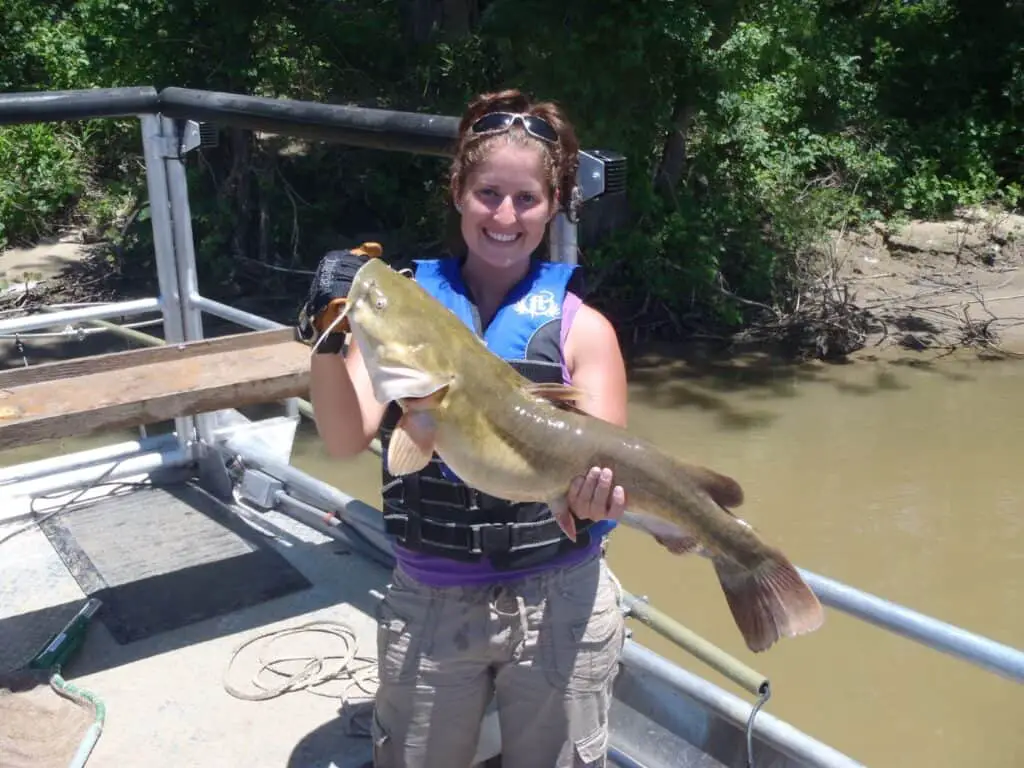 Are Flathead Catfish Good To Eat?