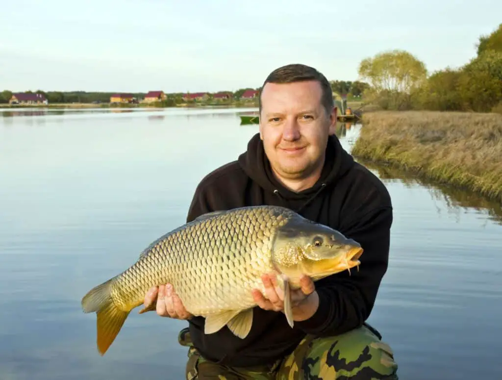 Are Carp Good To Eat?