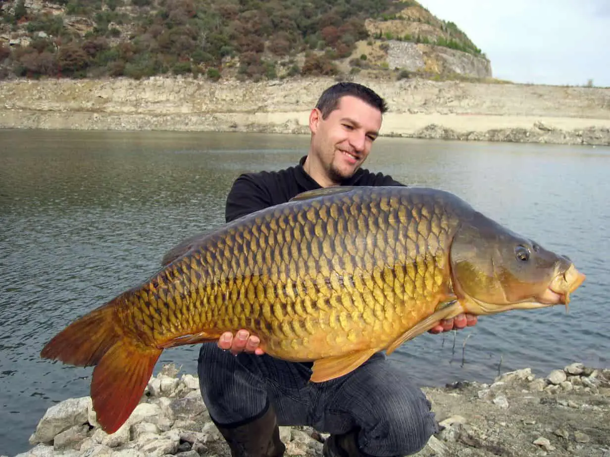 What’s the Difference Between Carp and Buffalo Fish?