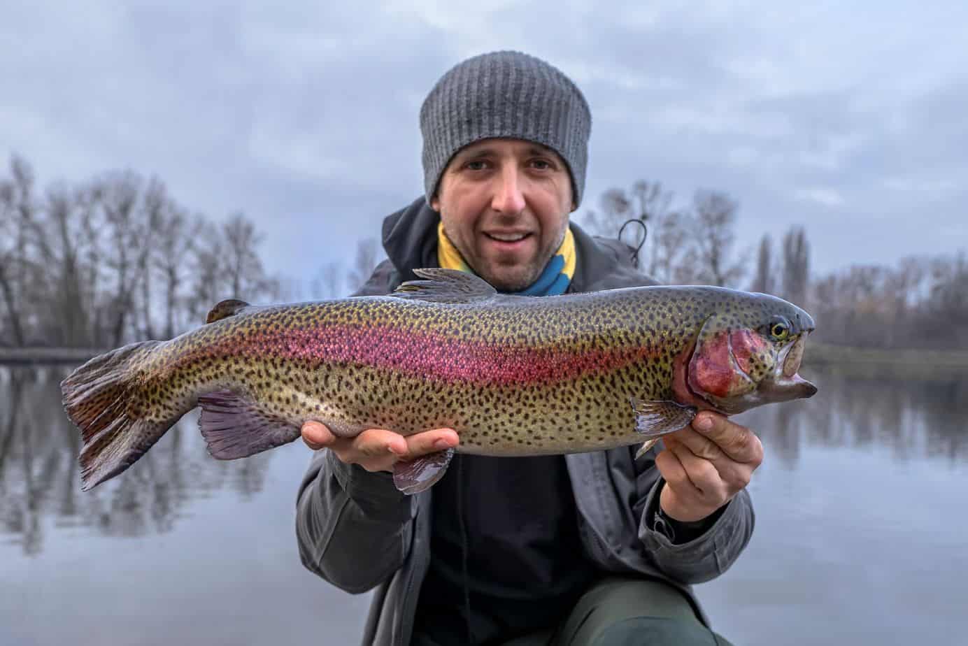 WhatпїЅs The Difference Between Steelhead And Rainbow
