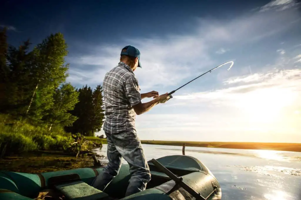 What is the Difference Between Walleye and Muskie?
