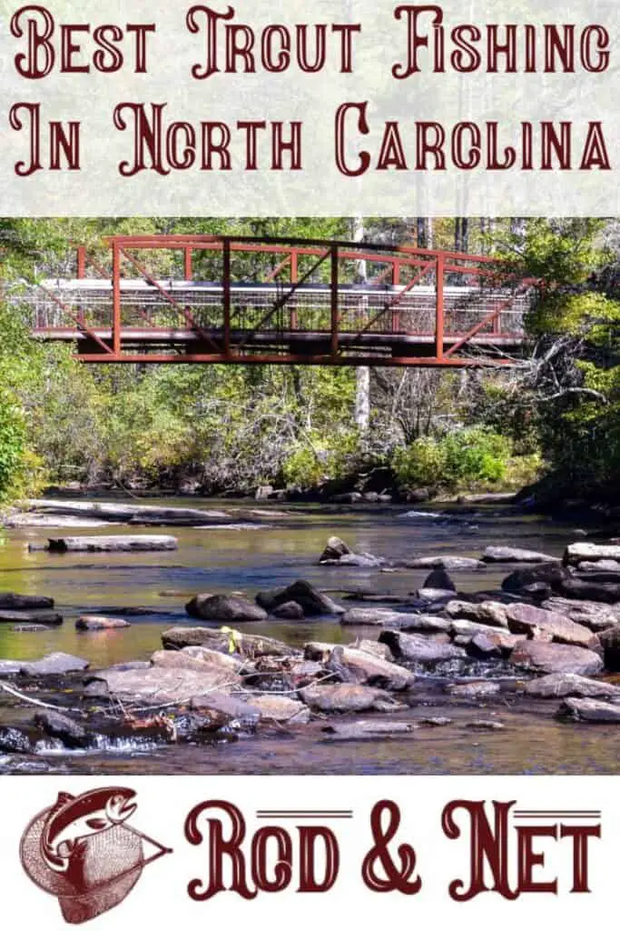 Where Is The Best Trout Fishing In North Carolina? Things You Should
