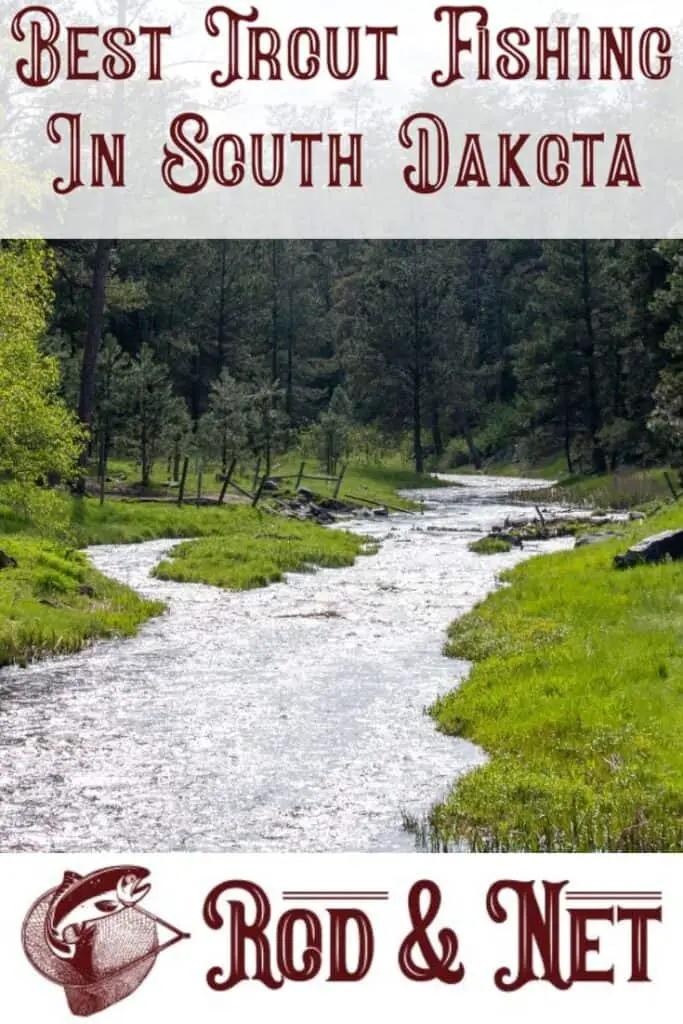 Where Is The Best Trout Fishing In South Dakota? And More Information