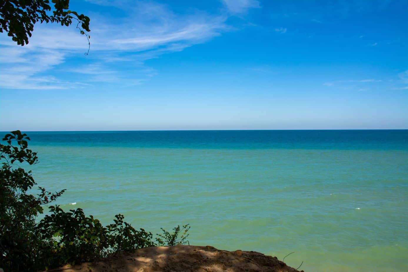 Where Is The Best Trout Fishing In Indiana? Fly Fishing Information You